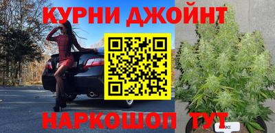 твердый Камышлов