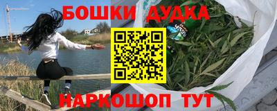 гашик Кинель