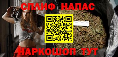 гашик Кинель
