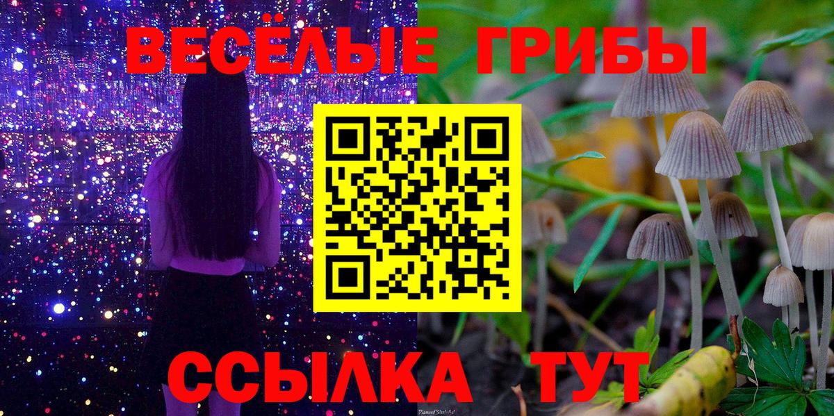 Костомукша  наркота  Вход с VPN  Псилоцибиновые грибы прущие грибы 